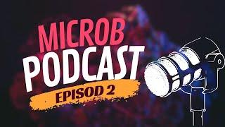 MicRob Podcast Episod 2 || Об отелях, о мошенниках и история бомжа