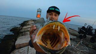 ONLY TROPHY Speckled Trout at the Jetty (Freeport Tx)