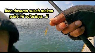 IKAN DASARAN SUSAH MAKAN PAKE INI SOLUSINYA MANCING TANPA UMPAN