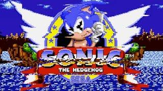 Glitchy Sonic the Hedgehog - A Random Error Occurs in the Level Code Every Time You Collect a Ring!