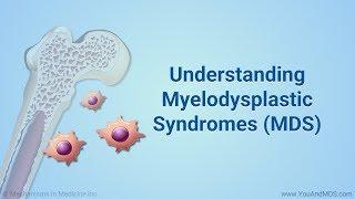 Understanding Myelodysplastic Syndromes (MDS)