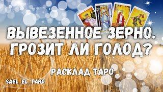 Вывезенное зерно. Грозит ли голод /война /оккупация (расклад таро)