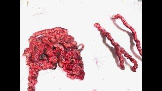 DIY BLOODY ZOMBIE GUTS TIME-LAPSE for LIMBLESS JIM INTESTINES-ON-A-STRING - DIY INTESTINES PROP