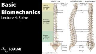 Biomechanics Lecture 4 - Spine