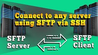 How to connect with any server using SFTP via SSH? [EASY GUIDE]️