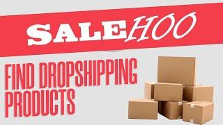 How To Find The Best Dropshipping Products In 2023 (Salehoo Tool)