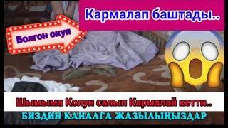 Шымыма колун салып кармалап баштады...