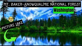 EASY Must SEE Stops in Mt. Baker-Snoqualmie National Forest, Washington | Mt. Baker Highway