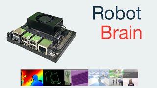 Robot Brain (NVIDIA Jetson Xavier NX Developer Kit)