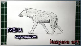 Как нарисовать ГИЕНУ карандашом поэтапно.