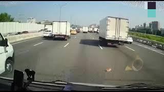 Truck driver spots tiny kitten on the highway, saves him from certain death