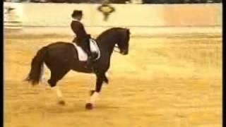 www.HWfarm.com presents the stallion Fuerstenreich