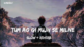 Mana K Tum Sath Nhi Ho  ( SLOW + REVERB )  LOFI SONG