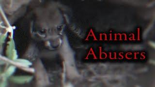 YouTube's Fake Animal Rescue Channels