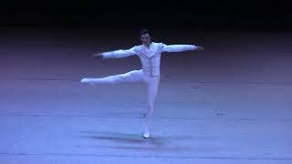 Mykyta Sukhorukov-variation from Nutcracker