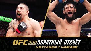 UFC 308 Обратный отсчет - Уиттакер vs Чимаев