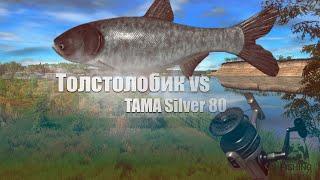 Русская Рыбалка 4 ► Russian Fishing 4 ► Silver 80 vs Толстолобик Пестрый!