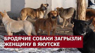 В Якутии бродячие собаки загрызли женщину