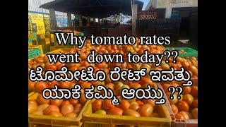 Why tomato rates down today?#indiantomatofarming#tomatorates#