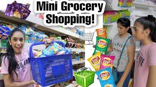 Mini Vlog 38 - Mini Grocery Shopping! | Riya's Amazing World