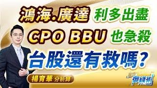 (有CC字幕)2025.01.09【鴻海.廣達利多出盡 CPO、BBU也急殺 台股還有救嗎?】#楊育華 #股市御錢術