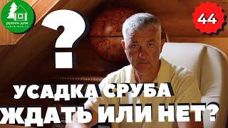 Усадка сруба ждать или нет? Сколько усадка сруба длится? Время усадки сруба.