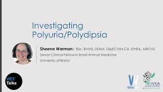 VET Talks- Investigating Polyuria and Polydipsia