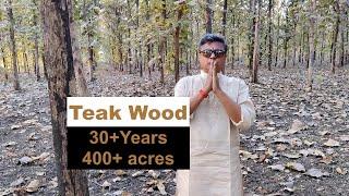 5cr in 1 acre | Teak wood Farming (Sagwan Farming) | Teak Tree Cultivation | 30+ Years | Agro Earth