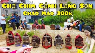 Chợ Chim Cảnh Lạng Sơn Mới Nhất Hôm Nay Phiên 17 07 2024 Âm Lịch Chào Mào Má Trắng 300K