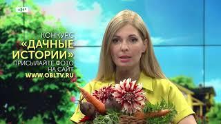 Рекламный блок (ОТВ HD [Екатеринбург], 14.08.2019 г.)