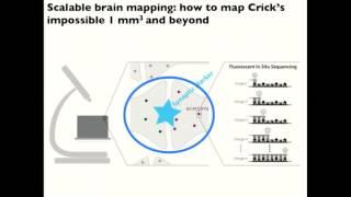 What sets the exponent of neuroscience progress | Adam Marblestone | EA Global: Boston 2017