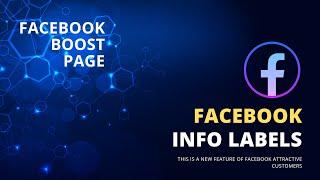 how to boost Facebook page Info Labels 2023