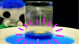 Rising Water Experiment | Science for Kids