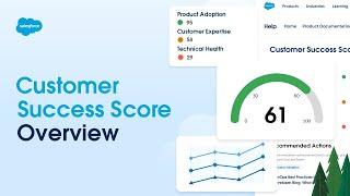 Customer Success Score Overview