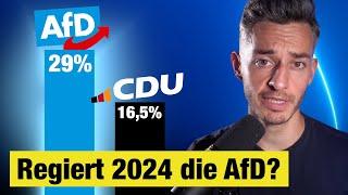 Kann die AfD in Sachsen & Co. regieren?