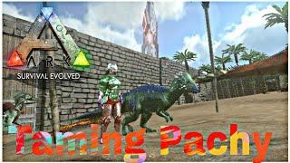 Pachy Taming with Dilo Kibble || Ark Mobile