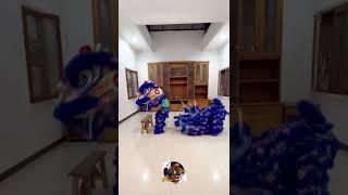 Eh kok bisa copot?? #barongsai #viral #liondance