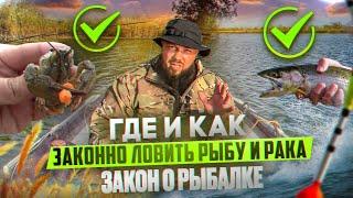 Закон о рыбалке. Где и как законно ловить рыбу и рака?