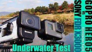 GOPRO HERO5 vs SONY FDR X3000 Underwater Test