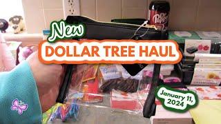 NEW DOLLAR TREE HAUL!  January 11, 2024