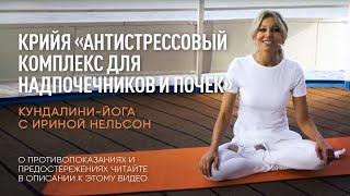 Крийя «Антистрессовый комплекс для надпочечников и почек» — Кундалини-йога с Ириной Нельсон