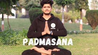 Learn Padmasana step by step |
