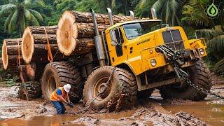 Dangerous Idiots Truck & Heavy Equipment Fails Compilation | Extreme Truck Idiots at Work #52