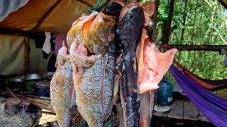 CATCHING and PRESERVING FISH in MAHAICA RIVER.