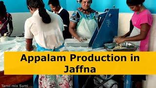 JAFFNA - Pappadam Company | APPALAM | அப்பளம் | Making Papadam | Jaffna Food Sri Lanka - in Tamil