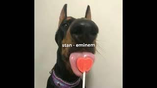 stan - eminem (sped up)