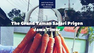 The Grand Taman Safari Prigen Jawa Timur ‼️Liburan Sekolah