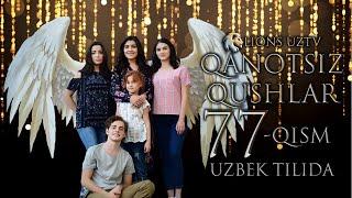 QANOTSIZ QUSHLAR 77 QISM TURK SERIALI UZBEK TILIDA | КАНОТСИЗ КУШЛАР 77 КИСМ УЗБЕК ТИЛИДА