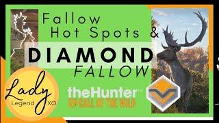 Fallow Hot Spots & DIAMOND Fallow!  Hunter: Call of the Wild