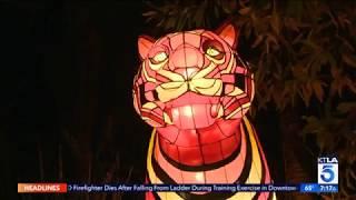 Australia's Taronga Zoo Gets Lit Up for Vivid Sydney